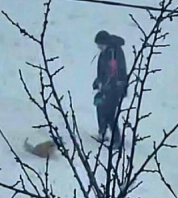 У Харкові поліція розшукує підлітка за відео з імовірним знущанням над собакою