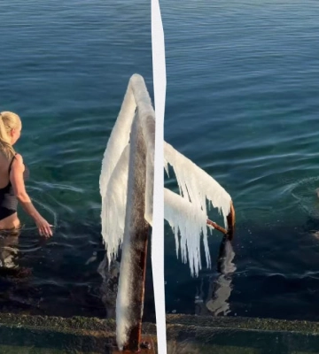 Відома українська співачка пірнула у крижану воду в Одесі