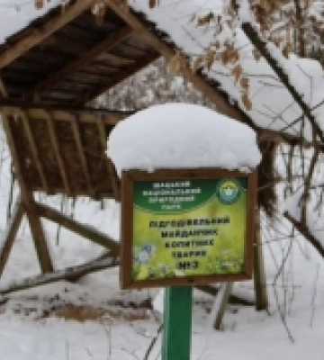 Шацький нацпарк на Волині: як взимку підгодовують диких тварин