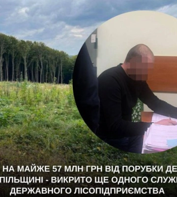 На Тернопільщині службовця підозрюють у тому, що він допустив незаконну рубку лісів на 57 млн грн