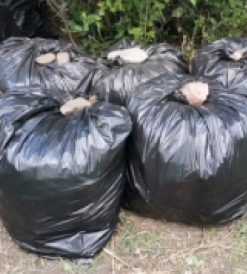 У Баштанці 16 січня вивозитимуть сміття у мішках: як записатися і яка ціна