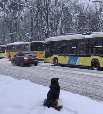 Пролунали вибухи. У центрі Львова є влучання російського бойового безпілотника - ОВА