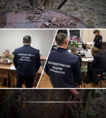 На Дніпропетровщині посадовцям ДП «Ліси України» повідомлено про підозру у завданні багатомільйонних збитків