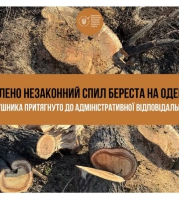 Жителю Одещини за зрубане дерево доведеться сплатити 45 тисяч гривень