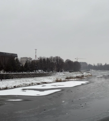 Морози та сніг: що відбувається з озимими культурами в Україні