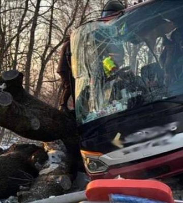 На Львівщині сталася ДТП з міжнародним автобусом: є постраждалі