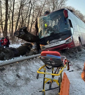 Пасажирський автобус “Відень–Київ” на Львівщині потрапив у ДТП: відомо про багатьох постраждалих