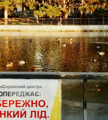 Кришталеві ставки та невгамовні птахи: як виглядає січень в одеському парку Перемоги