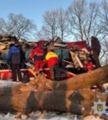 ДТП на Львівщині: автобус “Відень-Київ” з’їхав з дороги