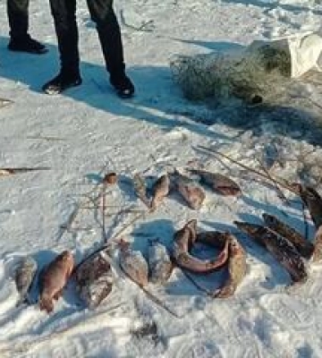 Майже 150 тисяч збитків: на Полтавщині затримали браконьєра