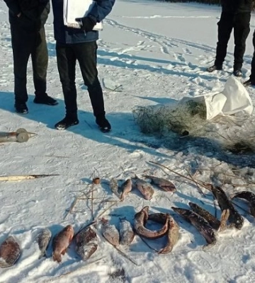 Майже 150 тисяч збитків: на Полтавщині затримали браконьєра