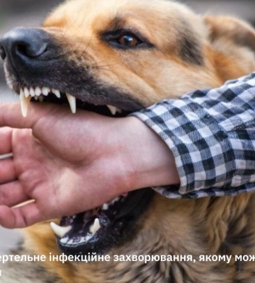 Від сказу померла жінка у Харкові