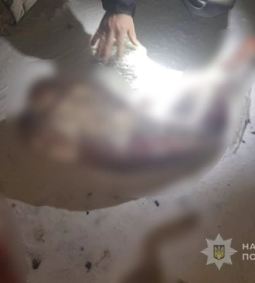 Далеко не заїхав: на Волині поліцейські оперативно виявили злісного 24-річного порушника