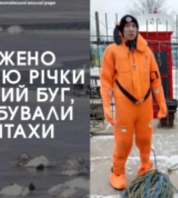 У Миколаєві намагалися врятувати лебедя, який вмерз у кригу