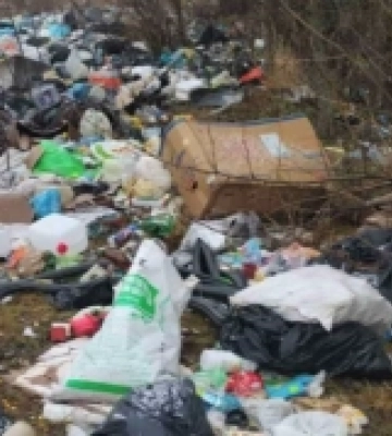 Громада на Волині заплатить солідний штраф за засмічені землі