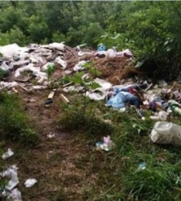 Громада на Волині заплатить солідний штраф за засмічені землі