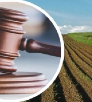 У громаді на Волині проведуть земельний аукціон