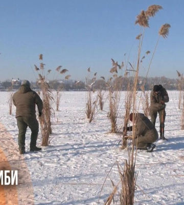 Рятують рибу від задухи: рибпатруль вирізає лунки на Басовому Куті у Рівному (ВІДЕО)