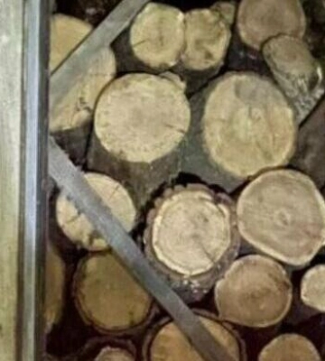 Фальшиві документи і тонни деревини: що виявили патрульні на Одещині