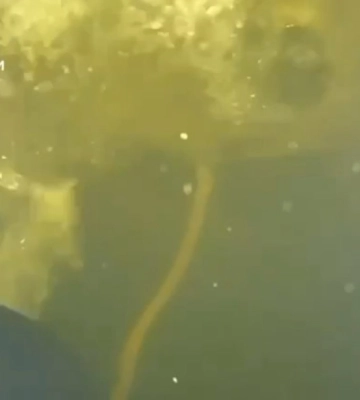 Уникальная спецоперация в ледяной воде. Водолазы ГСЧС шесть дней ремонтировали трубу ТЭЦ в Киеве после обстрела РФ — видео