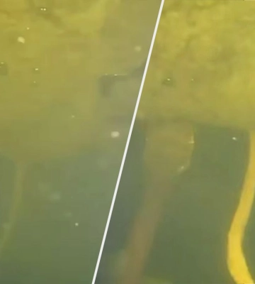 Водолази ДСНС у крижаній воді ліквідували підтоплення столичної ТЕЦ