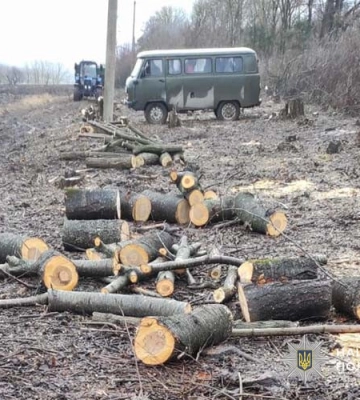 «Нарубав дров» - на Тернопільщині повідомлено про підозру заступнику селищного голови