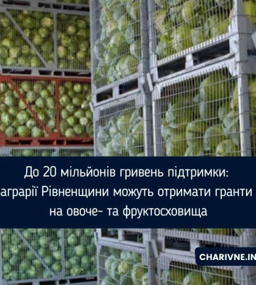 До 20 мільйонів гривень підтримки: аграрії Рівненщини можуть отримати гранти на овоче- та фруктосховища