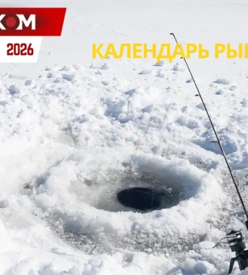 Календарь рыбалки на февраль 2026 года: когда и на что лучше всего клюет