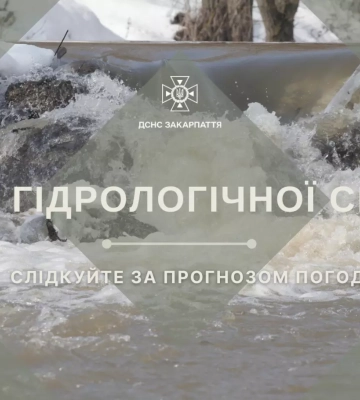 На тлі потепління на заході України розпочався льодохід на річках: відео