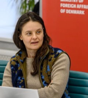 ПРООН та Данія підбили підсумки проєктів зі стабілізації та відновлення на Миколаївщині