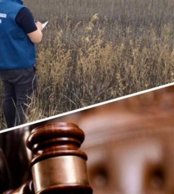 143 гектари землі на Харківщині повернуто громаді за рішенням суду