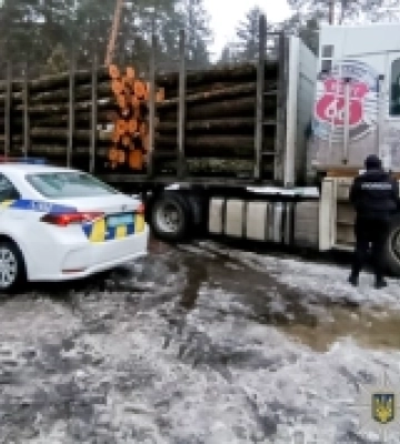 На Рівненщині поліція затримала двох водіїв за незаконне перевезення деревини