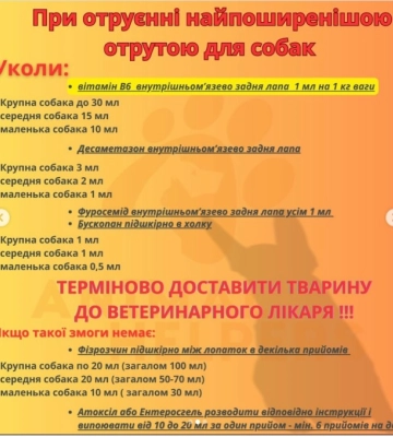 У громаді на Буковині поліція перевіряє інформацію про можливе отруєння собак