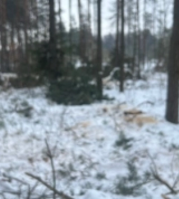 На Ратнівщині провели природоохоронні заходи