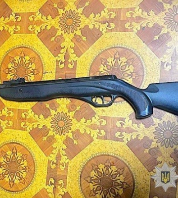 Застрелила собаку на дорозі: на Львівщині розслідують вбивство тварини