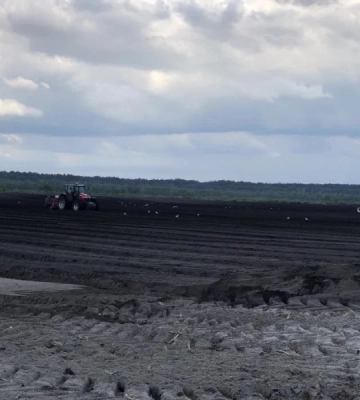 На Волині продають агропідприємство за 600 тисяч доларів