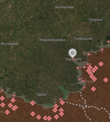 Поставили флаг и оказались в плену: как оккупанты "захватили" Терноватое в Запорожской области