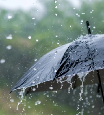 Дощ та до 11° тепла: якою буде погода на Львівщині 2 березня