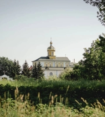 Забутий «золотий» сад Волині: як монастирські яблуні рятували палац і годували дітей
