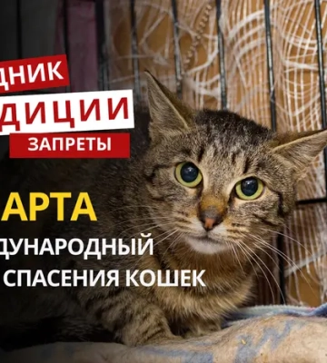 2 марта: какой сегодня праздник, традиции и запреты
