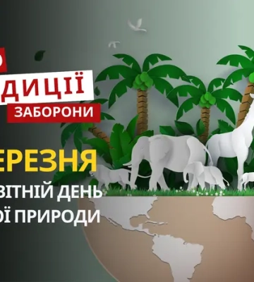 3 березня: яке сьогодні свято, традиції та заборони