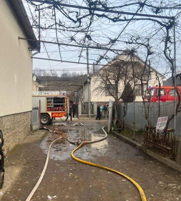 Пожежа Порошково: вогнеборці врятували немовля та свійських тварин з вогню
