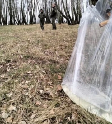 На Волині судитимуть лісівника за «голі» гектари у нацпарку