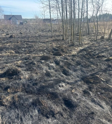 На Волині запрацює ще одна камера автофіксації порушників на дорогах