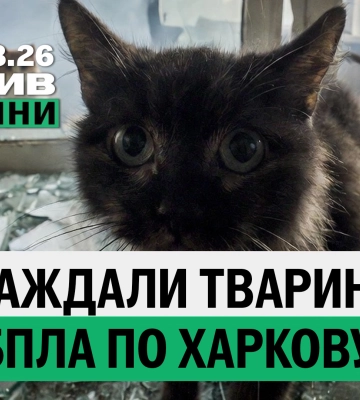 Пострадали животные в Харькове; леса Изюмщины возродят – итоги 5 марта