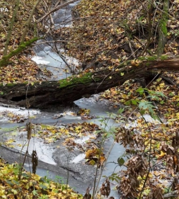 В Хмельницкой области будут судить руководительницу молокоперерабатывающего предприятия за загрязнение воды на 14 млн грн