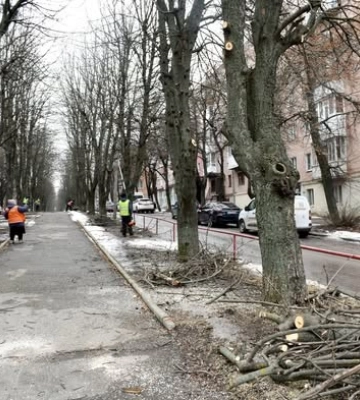У Кропивницькому розпочали роботи на Студентському бульварі для облаштування Алеї пам’яті