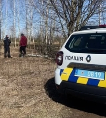 На Волині від знищення врятували 35 гектарів дерев