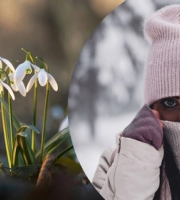 Сильні морози чи весняне тепло: якої погоди чекати волинянам на вихідних