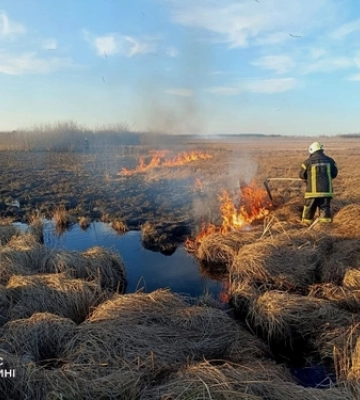 В двох районах на Волині за добу згоріло 3 гектари сухої трави